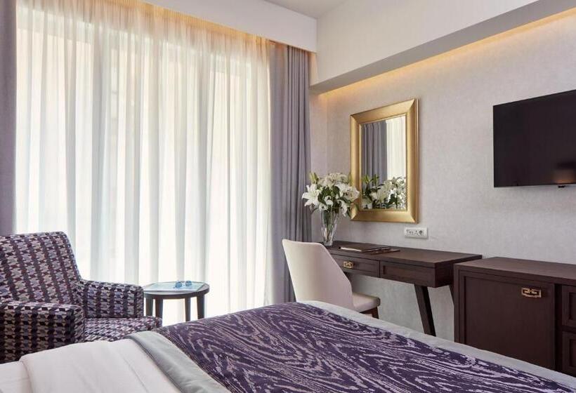 غرفة قياسية فردية, Electra Metropolis