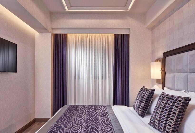 غرفة قياسية داخلية, Electra Metropolis