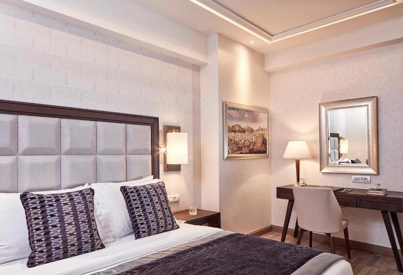 غرفة قياسية داخلية, Electra Metropolis