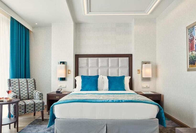 غرفة ديلوكس ذات إطلالة, Electra Metropolis