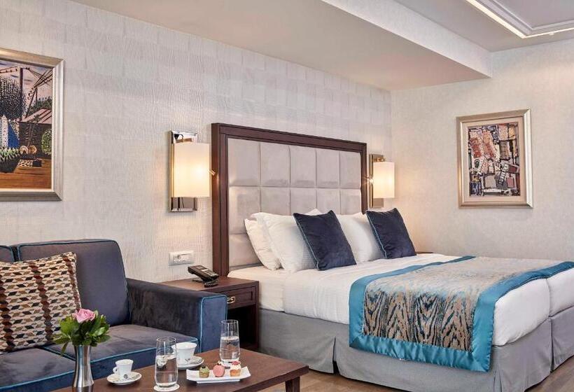 غرفة سوبيريور ثلاثية, Electra Metropolis