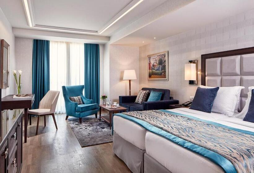 غرفة سوبيريور متصلة, Electra Metropolis