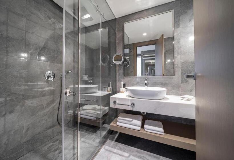 غرفة سوبيريور متصلة, Electra Metropolis