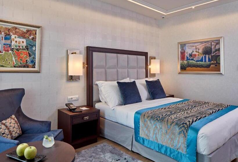 غرفة سوبيريور متصلة, Electra Metropolis