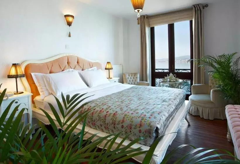 デラックスルーム, Ferahi Evler Otel