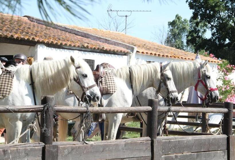 带观景的高级间, Mas Des Barres