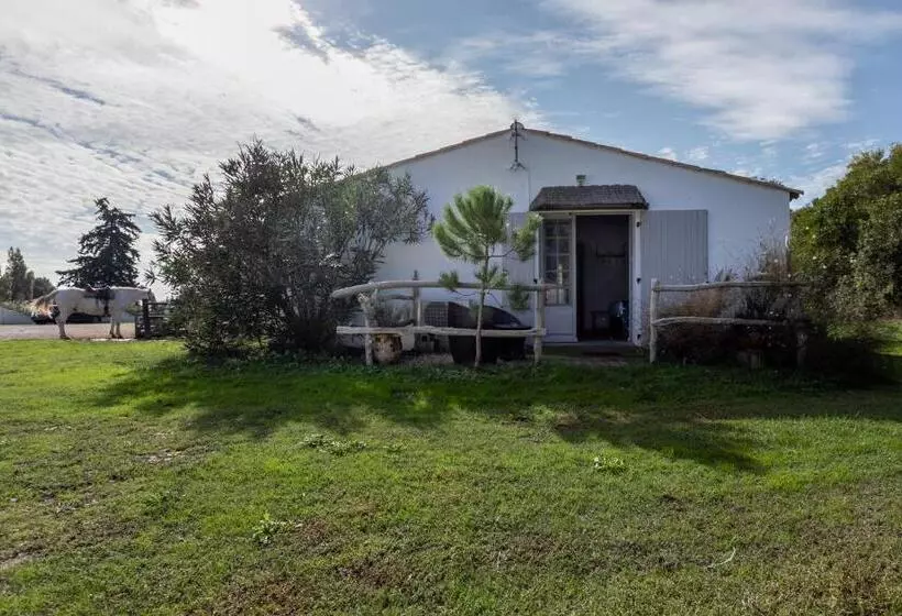 Superior Room with Terrace, Mas Des Barres