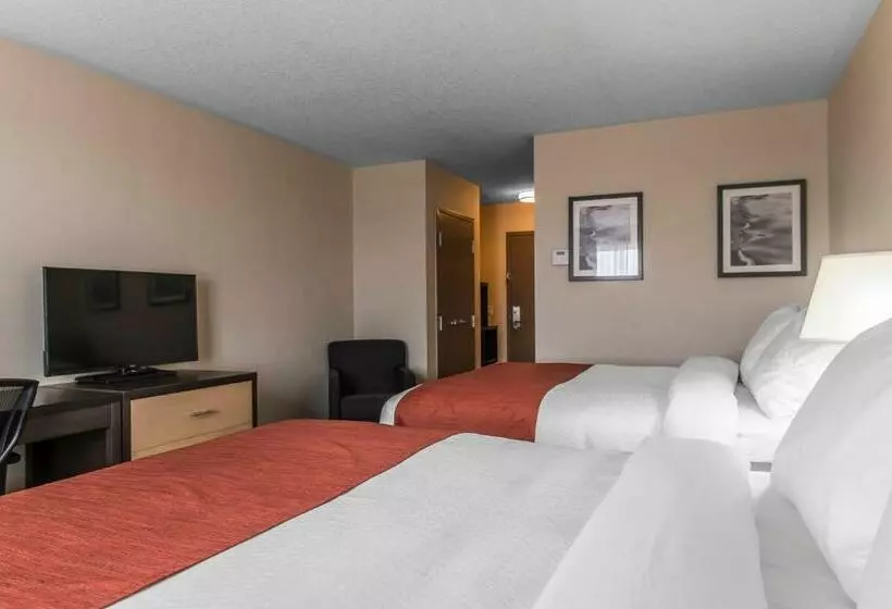 اتاق استاندارد, Quality Inn & Suites Kingston