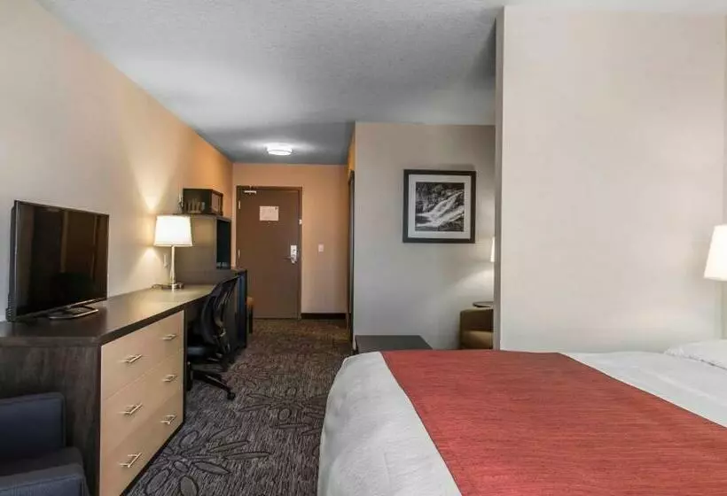 اتاق استاندارد با تخت بزرگ, Quality Inn & Suites Kingston