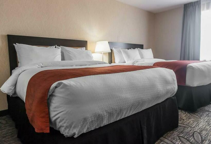 Номер Стандарт, Quality Inn & Suites Kingston