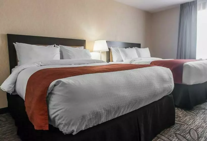 اتاق استاندارد, Quality Inn & Suites Kingston