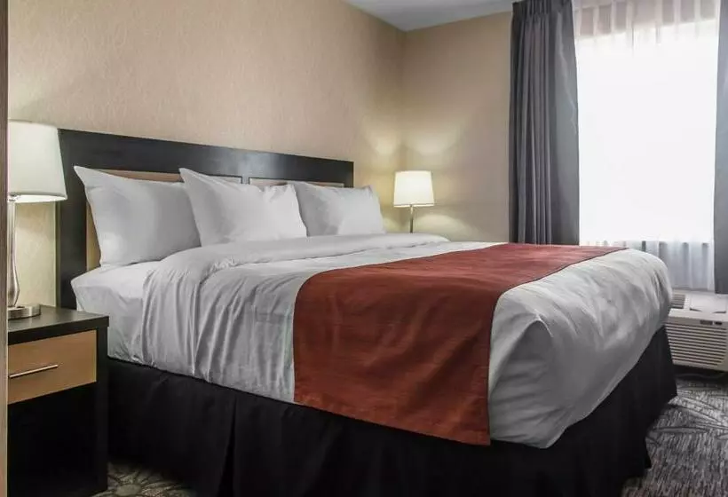 اتاق استاندارد با تخت بزرگ, Quality Inn & Suites Kingston