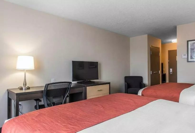 اتاق استاندارد, Quality Inn & Suites Kingston
