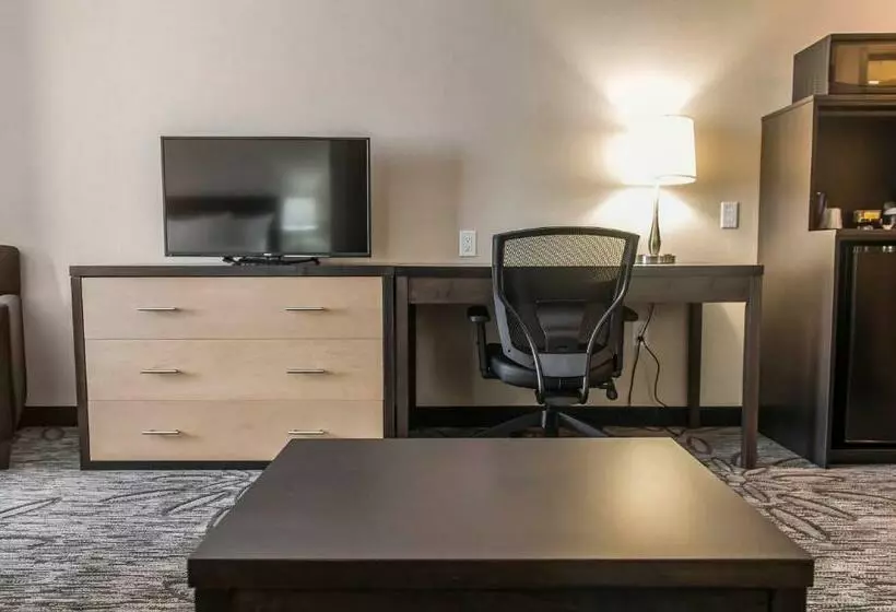 اتاق استاندارد با تخت بزرگ, Quality Inn & Suites Kingston