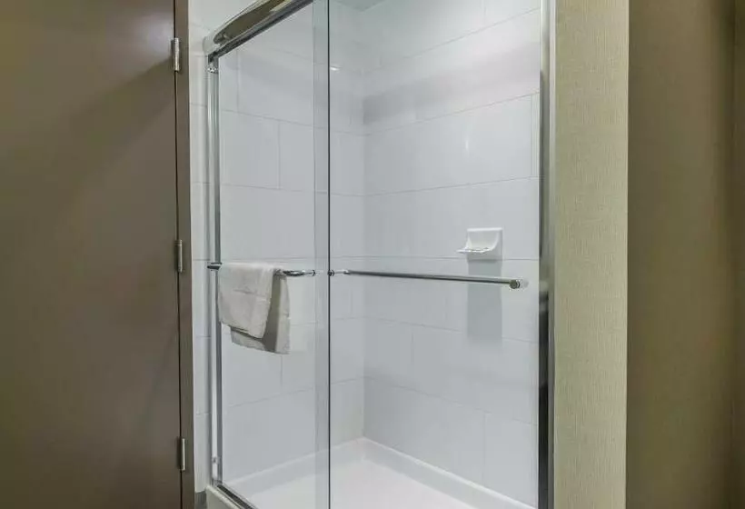 اتاق استاندارد, Quality Inn & Suites Kingston