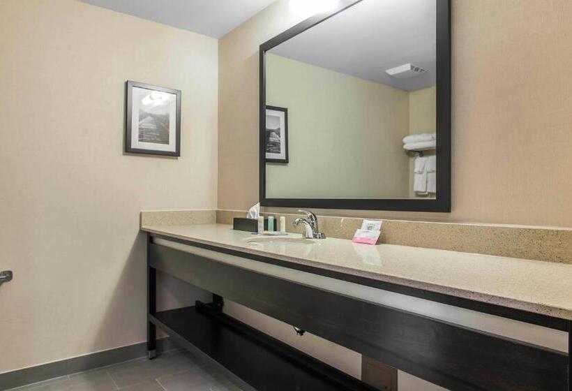Люкс Кровать Кинг, Quality Inn & Suites Kingston