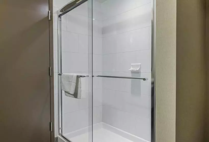 سوئیت با تخت بزرگ, Quality Inn & Suites Kingston