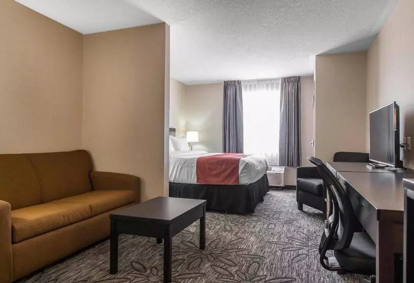 سوئیت با تخت بزرگ, Quality Inn & Suites Kingston