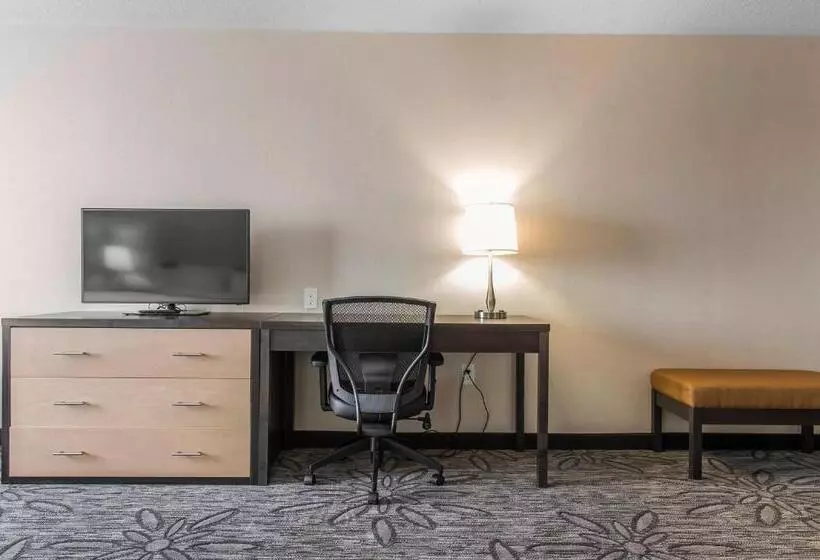 سوئیت با تخت بزرگ, Quality Inn & Suites Kingston