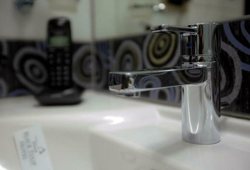 스위트, Black Tulip