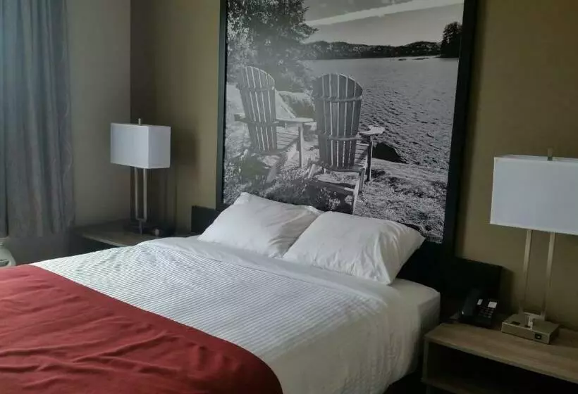 キングサイズベッドのスタンダードルーム, Super 8 By Wyndham Mont Laurier