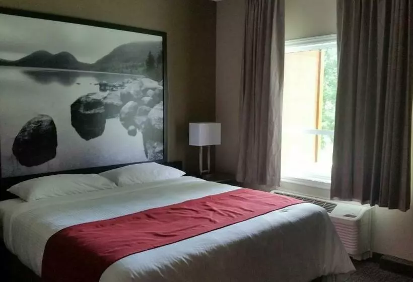 キングサイドベッドのスタンダードワンルーム, Super 8 By Wyndham Mont Laurier