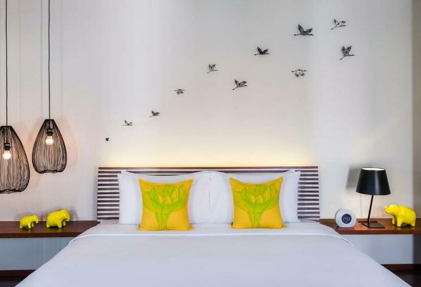 Люкс, The Aviary