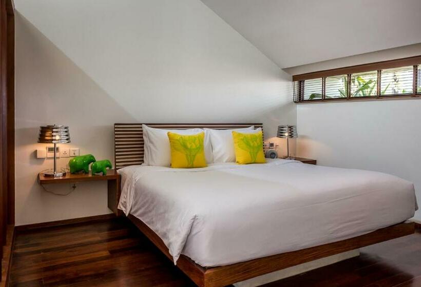 Люкс, The Aviary