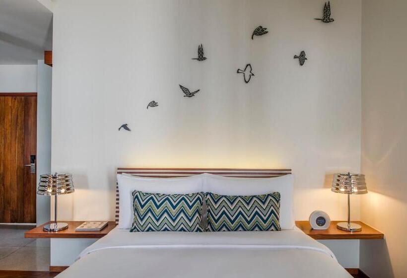 Номер Стандарт, The Aviary