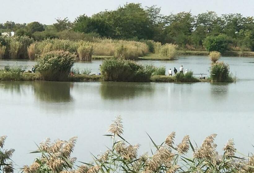 スタンダードルーム, Cuki Lak