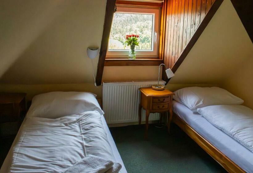 スタンダードルーム, Penzion Zvonice Hojná Voda