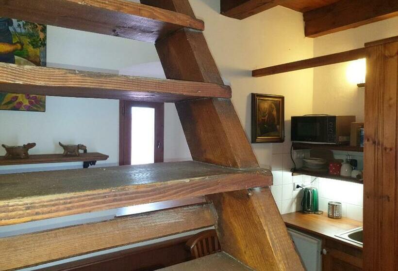 テラス付き1ベッドルームアパートメント, Penzion Zvonice Hojná Voda