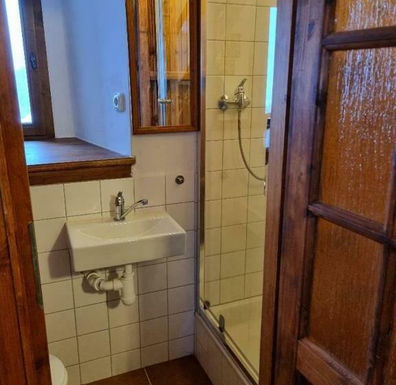 テラス付き1ベッドルームアパートメント, Penzion Zvonice Hojná Voda