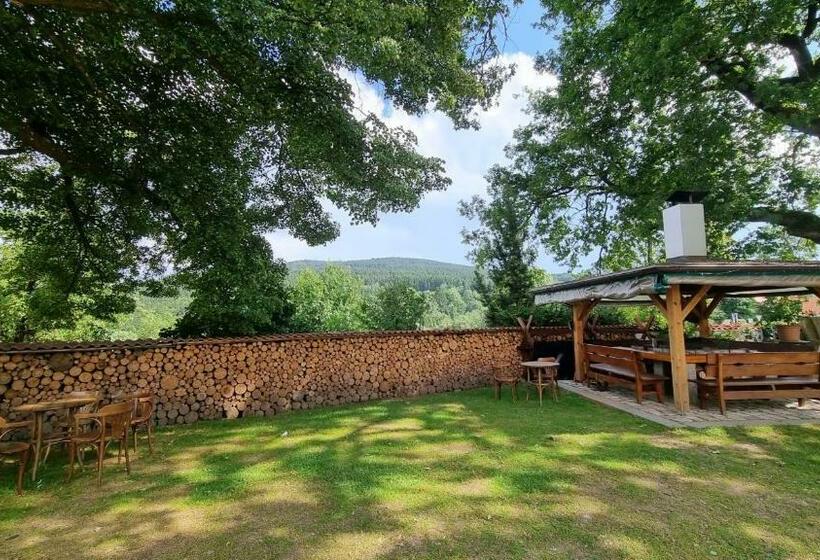 スタンダードルーム, Penzion Zvonice Hojná Voda