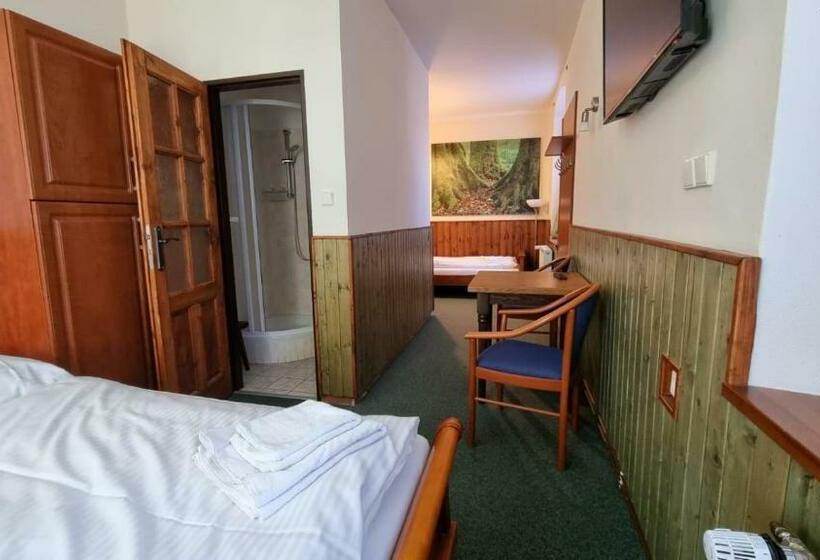 2ベッドルームアパートメント, Penzion Zvonice Hojná Voda