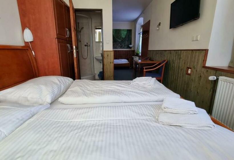 2ベッドルームアパートメント, Penzion Zvonice Hojná Voda