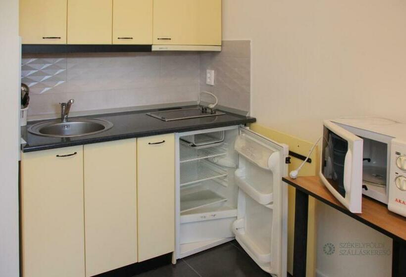 غرفة قياسية, Pensiunea Praid   Parajd Panzió