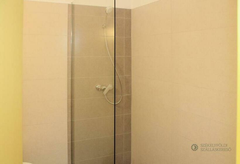 غرفة قياسية, Pensiunea Praid   Parajd Panzió