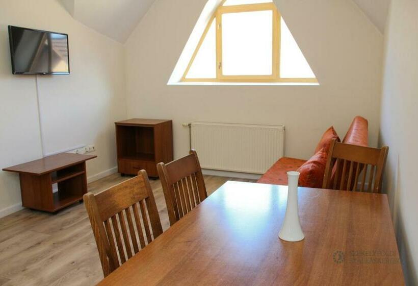 شقة غرفة واحدة مطلة على الحديقة, Pensiunea Praid   Parajd Panzió