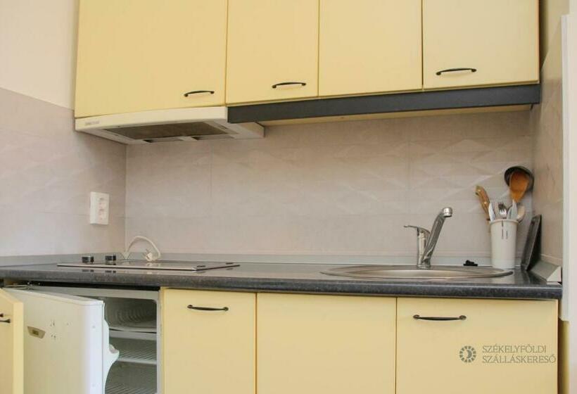 شقة غرفة واحدة مطلة على الحديقة, Pensiunea Praid   Parajd Panzió