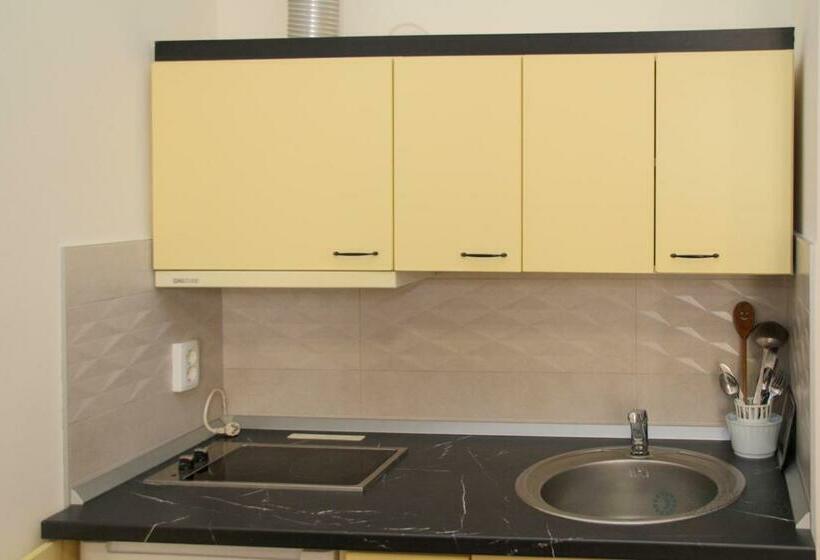 شقة غرفة واحدة مطلة على الحديقة, Pensiunea Praid   Parajd Panzió