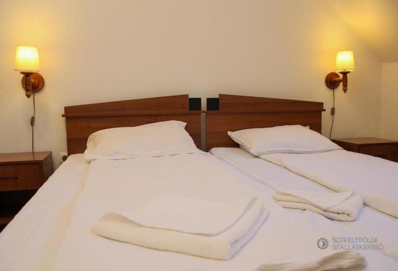 شقة غرفة واحدة مطلة على الحديقة, Pensiunea Praid   Parajd Panzió