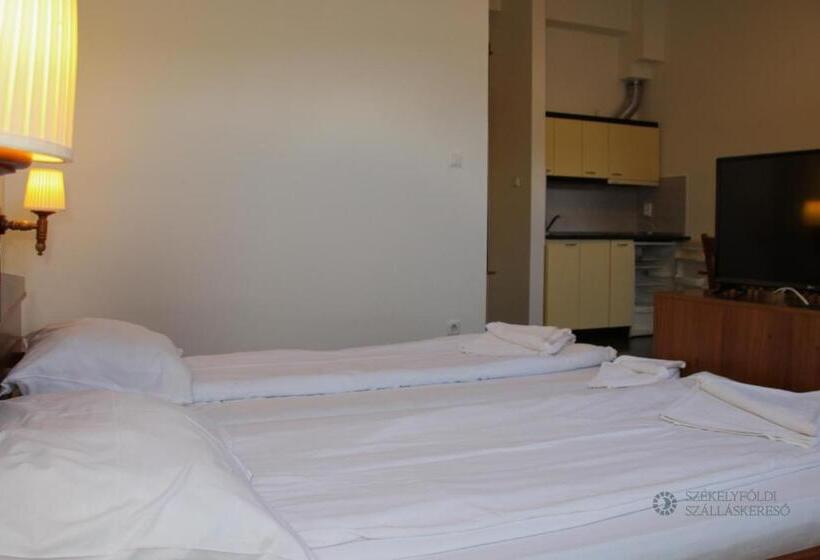 شقة غرفة واحدة مطلة على الحديقة, Pensiunea Praid   Parajd Panzió