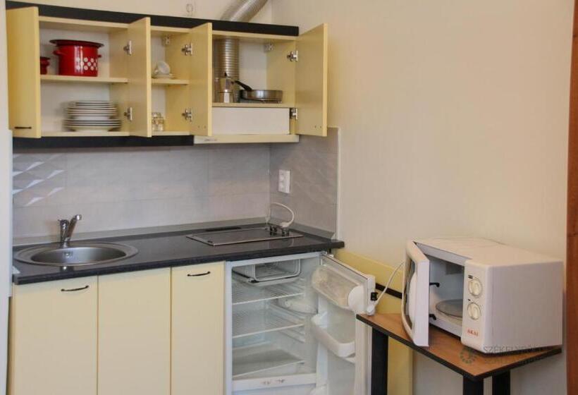 شقة غرفة واحدة مطلة على الحديقة, Pensiunea Praid   Parajd Panzió