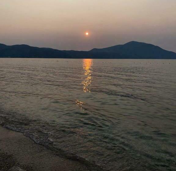 Standart Oda, Hela Residence