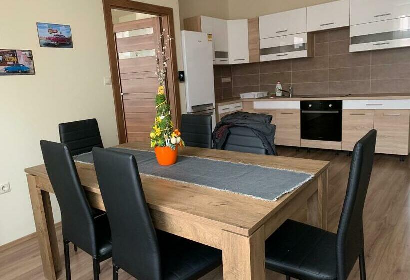 浴室共有スタンダード４人用ルーム, Mayer Vendégház