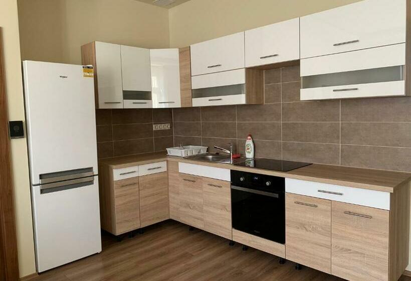 浴室共有スタンダード４人用ルーム, Mayer Vendégház