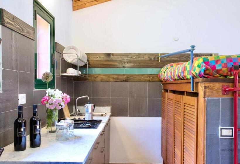 テラス付き1ベッドルームアパートメント, Residence With Swimming Pool In Guardistallo