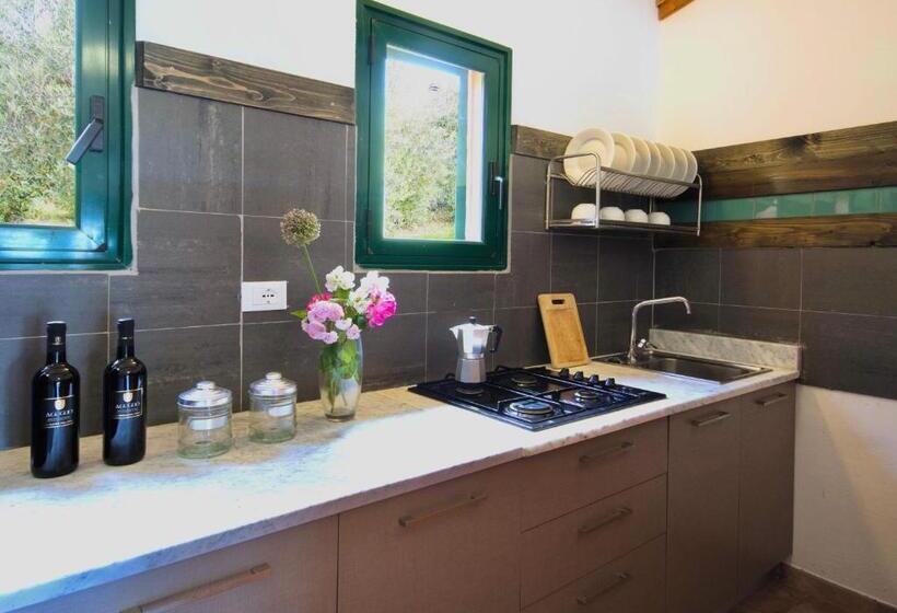带1个卧室的带阳台的公寓, Residence With Swimming   Pool In Guardistallo