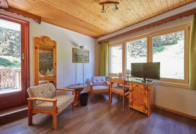 חדר סטנדרט, Waldhaus